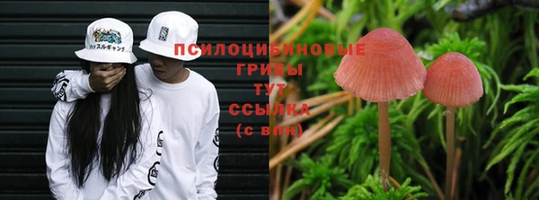 прущая мука Лабытнанги