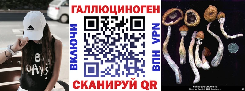 Купить где  Североуральск  Псилоцибиновые грибы прущие грибы 